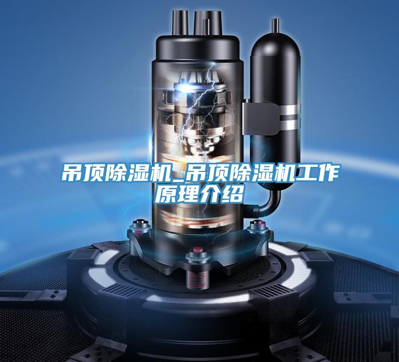 吊頂好色先生在线播放_吊頂好色先生在线播放工作原理介紹