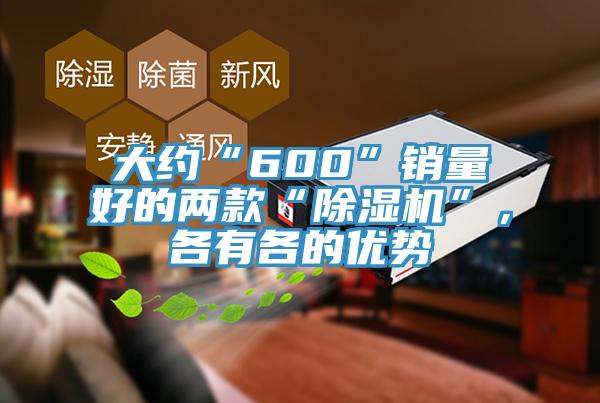 大約“600”銷量好的兩款“好色先生在线播放”,各有各的優勢
