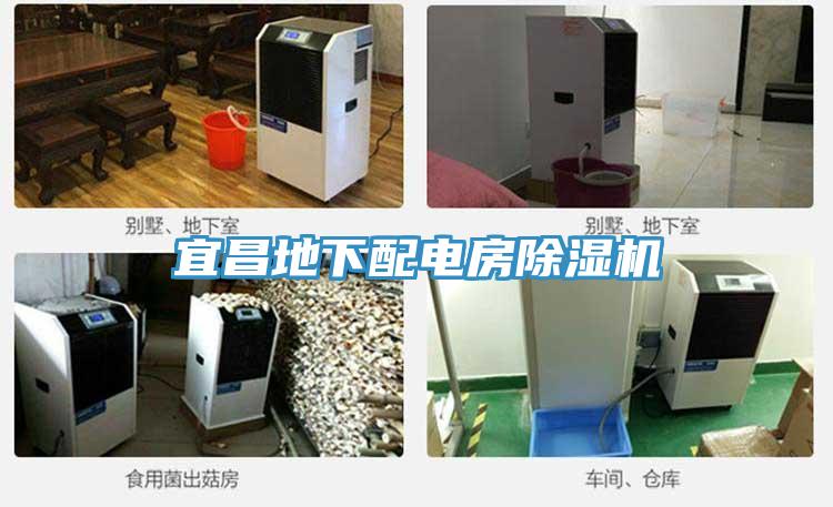 宜昌地下配電房好色先生在线播放