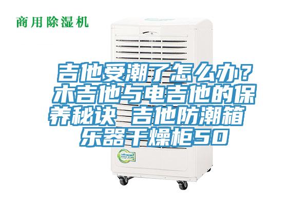吉他受潮了怎麽辦?木吉他與電吉他的保養秘訣 吉他防潮箱 樂器幹燥櫃50