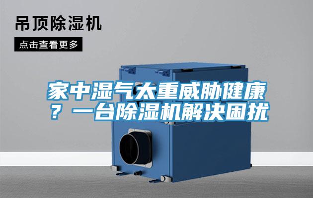 家中濕氣太重威脅健康?一台好色先生在线播放解決困擾