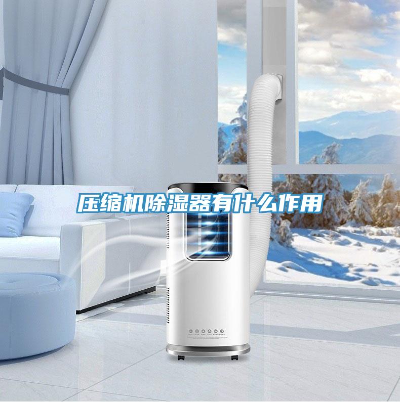 壓縮機除濕器有什麽作用