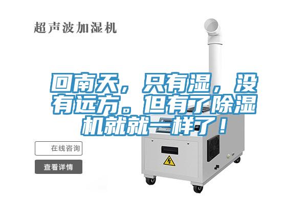 回南天,隻有濕,沒有遠方。但有了好色先生在线播放就就一樣了!