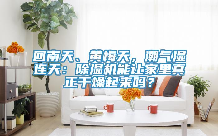 回南天、黃梅天，潮氣濕連天：好色先生在线播放能讓家裏真正幹燥起來嗎？