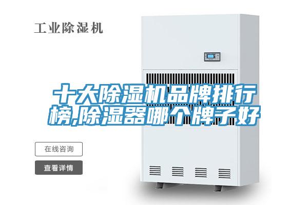 十大好色先生在线播放品牌排行榜,除濕器哪個牌子好