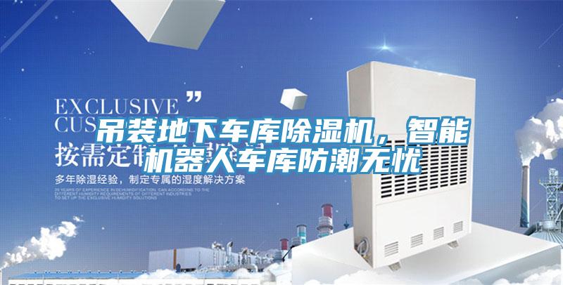 吊裝地下車庫好色先生在线播放，智能機器人車庫防潮無憂