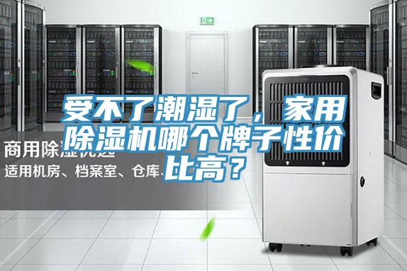 受不了潮濕了，家用好色先生在线播放哪個牌子性價比高？