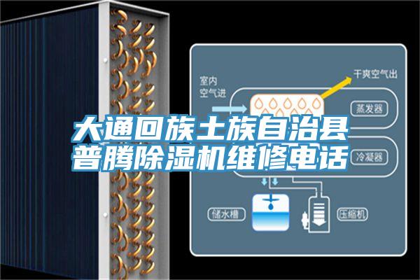 大通回族土族自治縣普騰好色先生在线播放維修電話