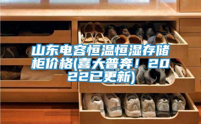 山東電容恒溫恒濕存儲櫃價格(喜大普奔！2022已更新)