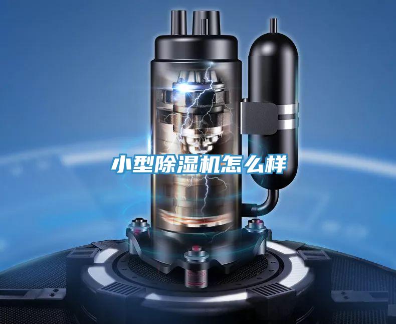 小型好色先生在线播放怎麽樣