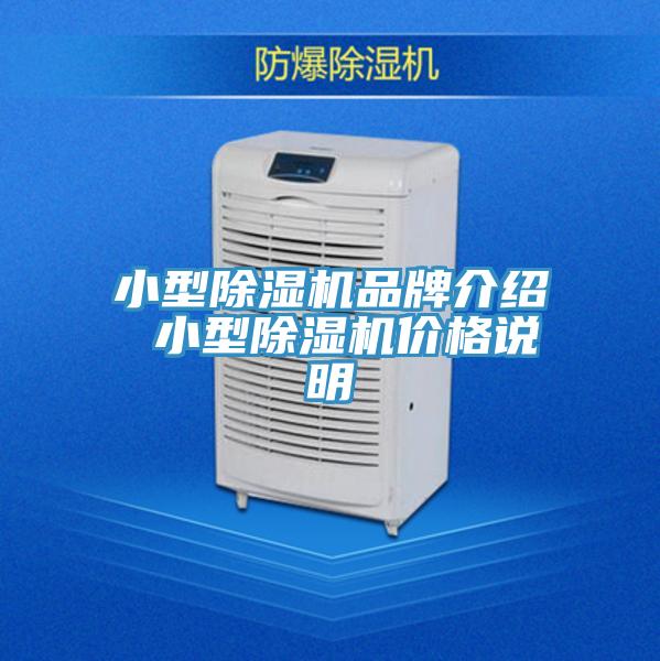 小型好色先生在线播放品牌介紹 小型好色先生在线播放價格說明