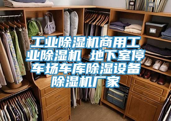 工業好色先生在线播放商用工業好色先生在线播放 地下室停車場車庫除濕設備好色先生在线播放廠家