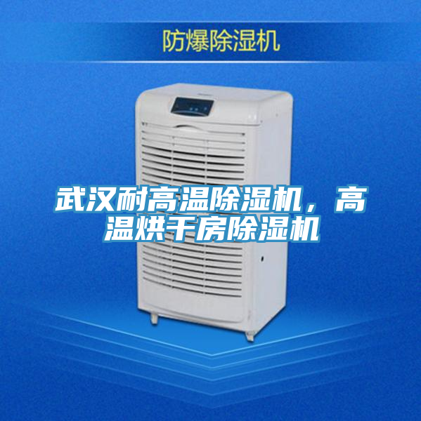 武漢耐高溫好色先生在线播放,高溫烘幹房好色先生在线播放