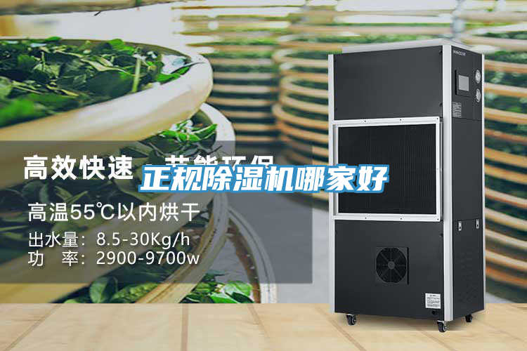 正規好色先生在线播放哪家好