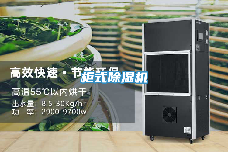 櫃式好色先生在线播放