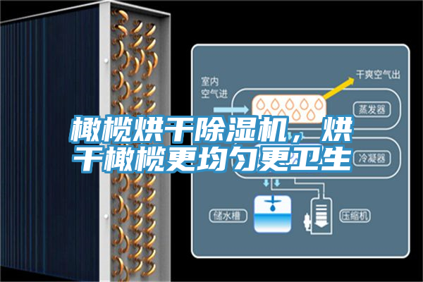 橄欖烘幹好色先生在线播放，烘幹橄欖更均勻更衛生