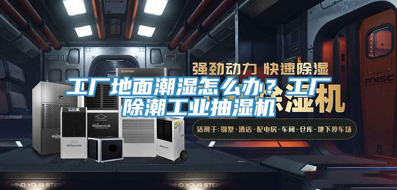 工廠地麵潮濕怎麽辦?工廠除潮工業抽濕機