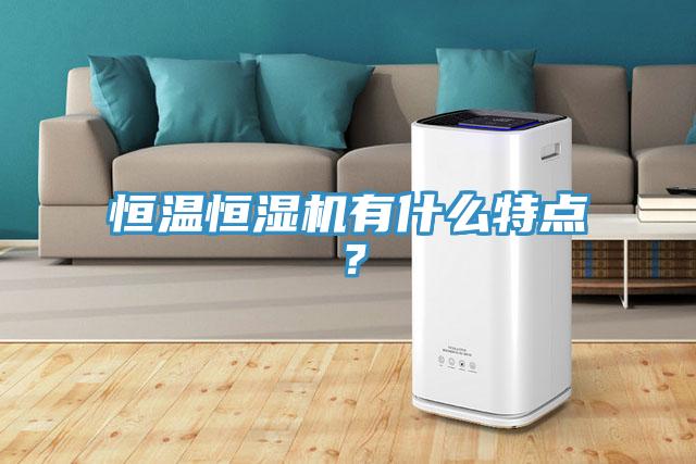 恒溫恒濕機有什麽特點？