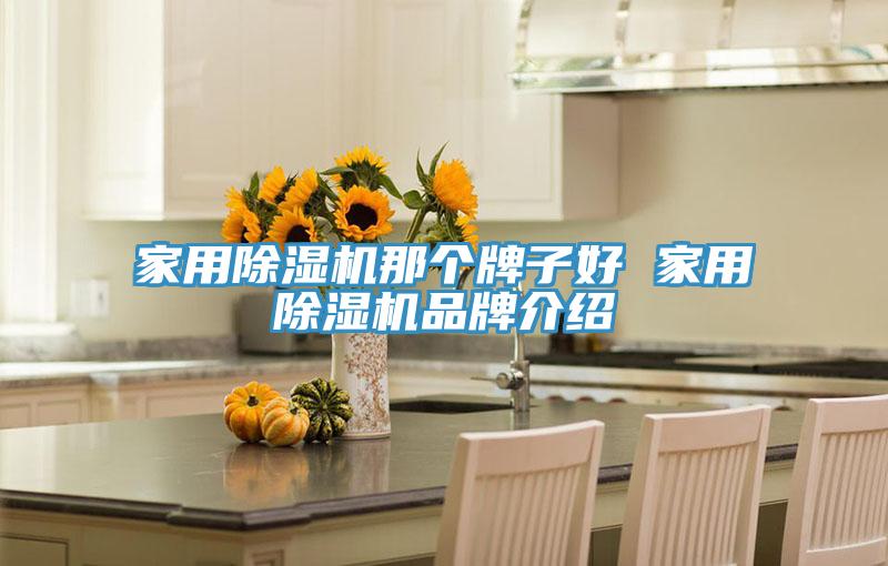 家用好色先生在线播放那個牌子好 家用好色先生在线播放品牌介紹