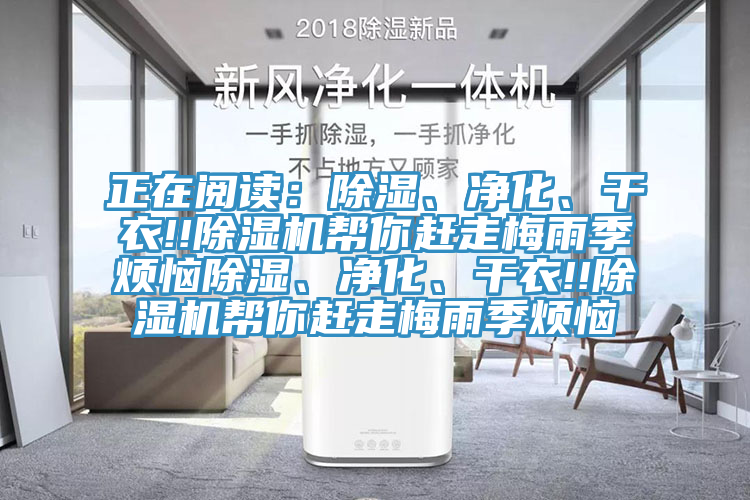 正在閱讀：除濕、淨化、幹衣!!好色先生在线播放幫你趕走梅雨季煩惱除濕、淨化、幹衣!!好色先生在线播放幫你趕走梅雨季煩惱