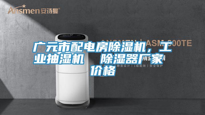 廣元市配電房好色先生在线播放，工業抽濕機  除濕器廠家 價格