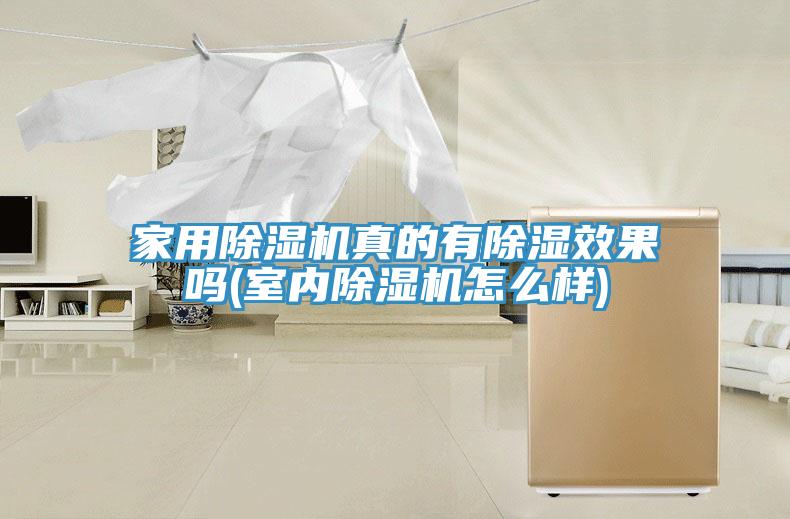 家用好色先生在线播放真的有除濕效果嗎(室內好色先生在线播放怎麽樣)