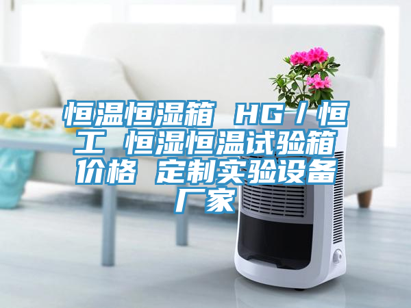 恒溫恒濕箱 HG/恒工 恒濕恒溫試驗箱價格 定製實驗設備廠家