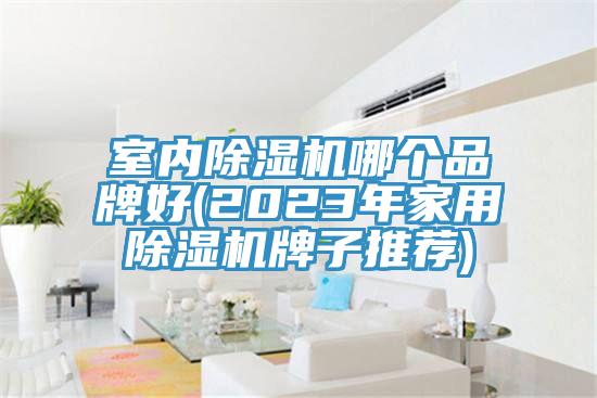 室內好色先生在线播放哪個品牌好(2023年家用好色先生在线播放牌子推薦)
