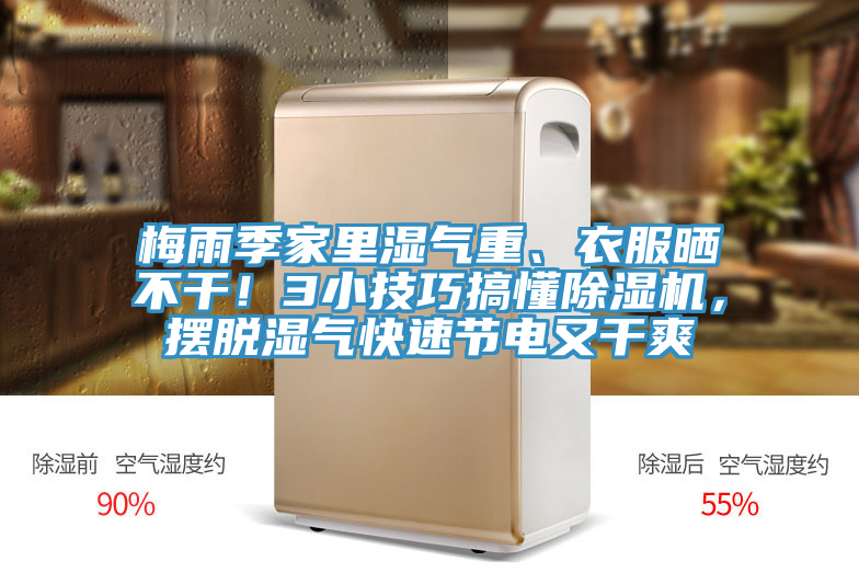 梅雨季家裏濕氣重、衣服曬不幹!3小技巧搞懂好色先生在线播放,擺脫濕氣快速節電又幹爽