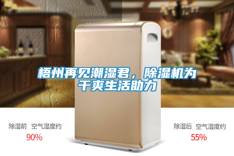 梧州再見潮濕君，好色先生在线播放為幹爽生活助力