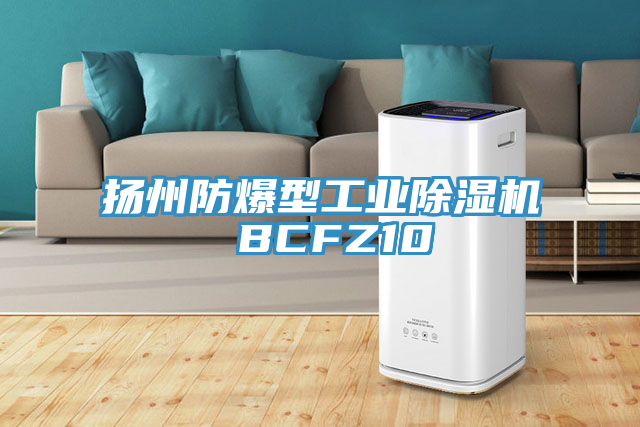 揚州防爆型工業好色先生在线播放 BCFZ10