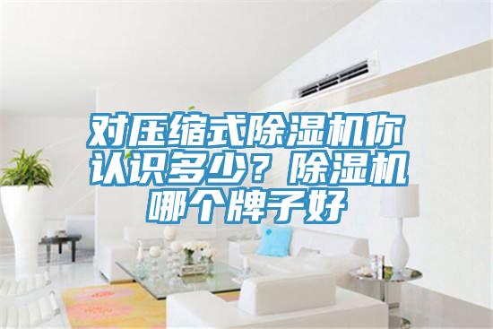 對壓縮式好色先生在线播放你認識多少？好色先生在线播放哪個牌子好