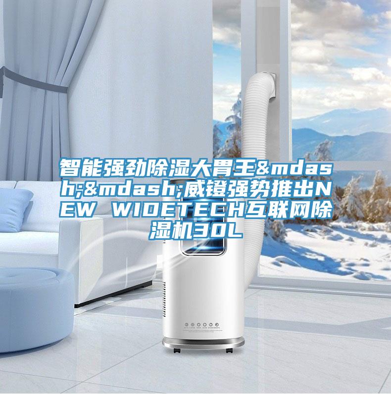 智能強勁除濕大胃王——威鐙強勢推出NEW WIDETECH互聯網好色先生在线播放30L