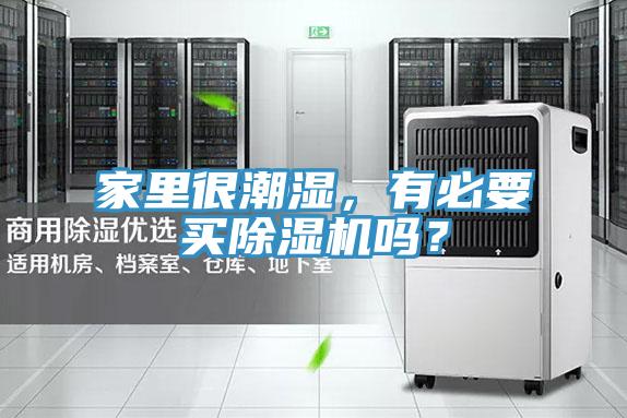 家裏很潮濕，有必要買好色先生在线播放嗎？