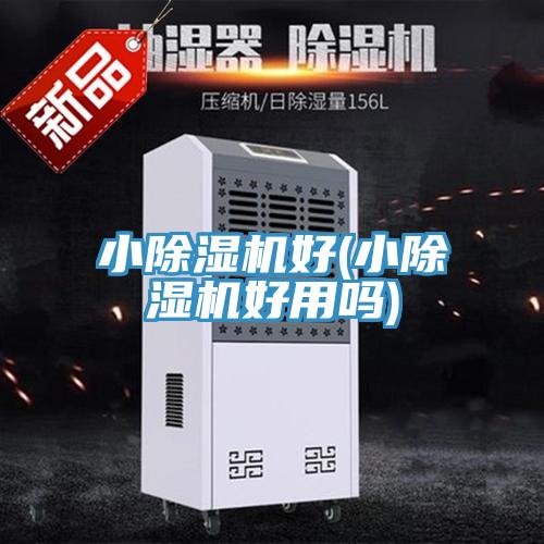 小好色先生在线播放好(小好色先生在线播放好用嗎)