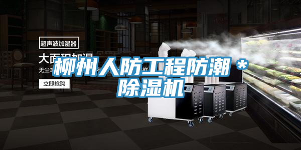 柳州人防工程防潮*好色先生在线播放