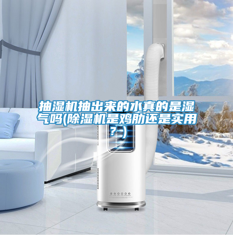 抽濕機抽出來的水真的是濕氣嗎(好色先生在线播放是雞肋還是實用？)
