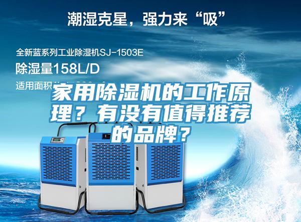 家用好色先生在线播放的工作原理？有沒有值得推薦的品牌？