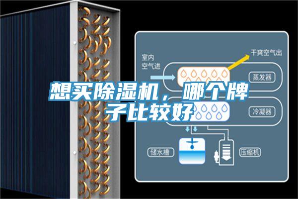 想買好色先生在线播放,哪個牌子比較好