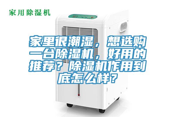 家裏很潮濕，想選購一台好色先生在线播放，好用的推薦？好色先生在线播放作用到底怎麽樣？