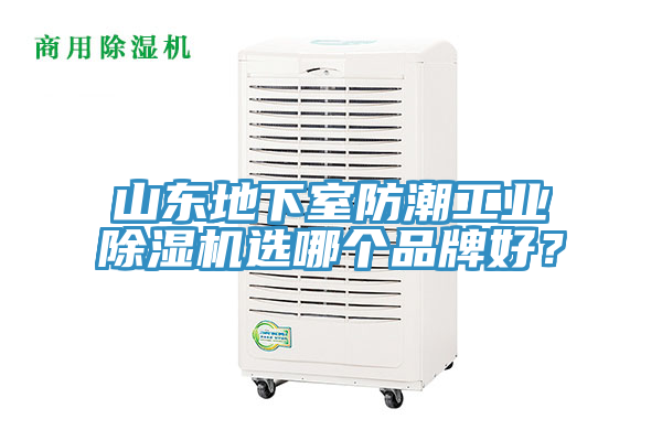 山東地下室防潮工業好色先生在线播放選哪個品牌好？