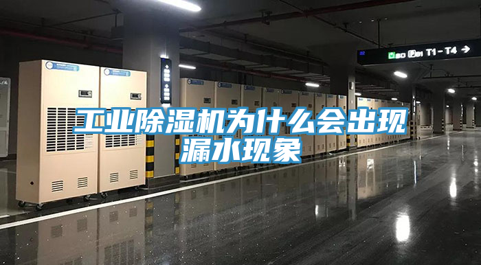 工業好色先生在线播放為什麽會出現漏水現象