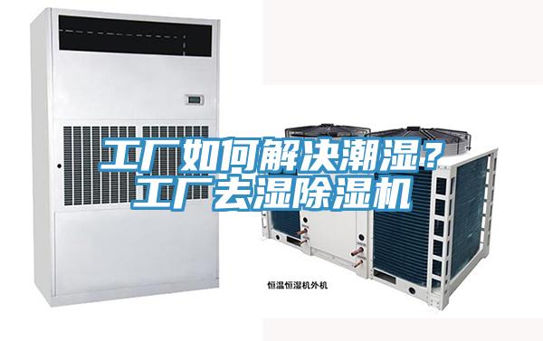 工廠如何解決潮濕？工廠去濕好色先生在线播放