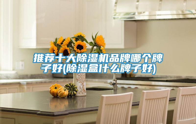 推薦十大好色先生在线播放品牌哪個牌子好(除濕盒什麽牌子好)