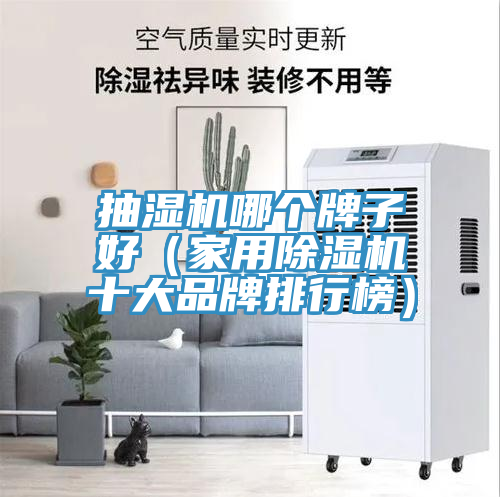 抽濕機哪個牌子好（家用好色先生在线播放十大品牌排行榜）