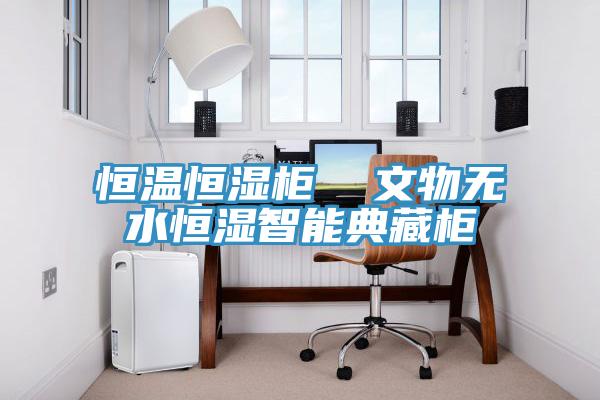 恒溫恒濕櫃  文物無水恒濕智能典藏櫃