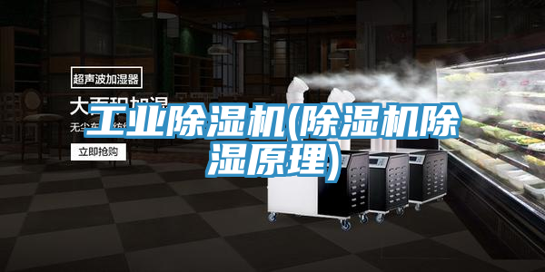 工業好色先生在线播放(好色先生在线播放除濕原理)