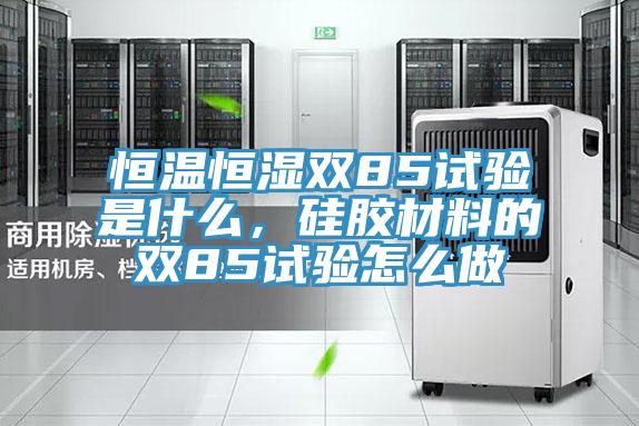 恒溫恒濕雙85試驗是什麽，矽膠材料的雙85試驗怎麽做