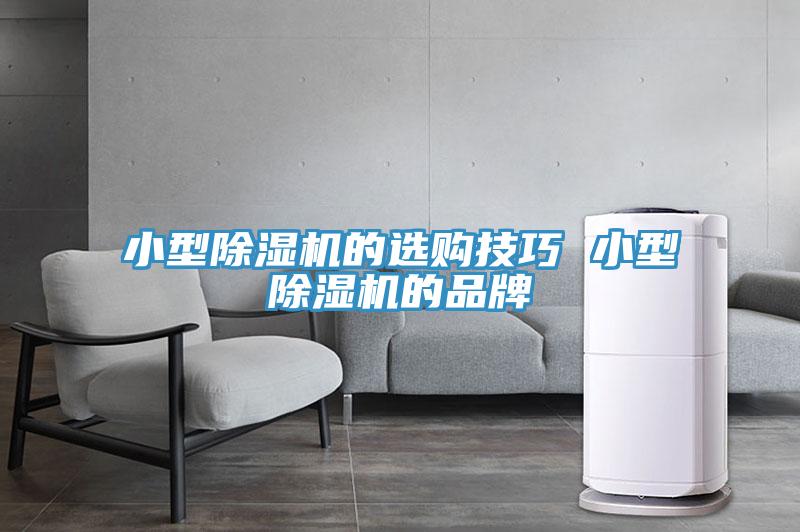 小型好色先生在线播放的選購技巧 小型好色先生在线播放的品牌