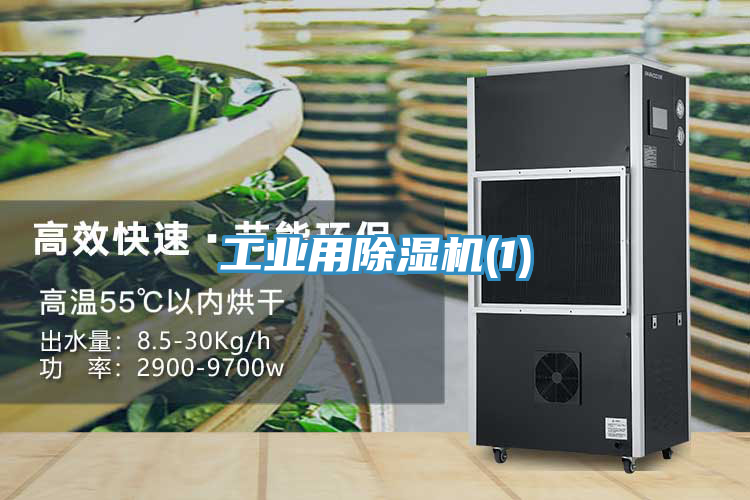 工業用好色先生在线播放(1)